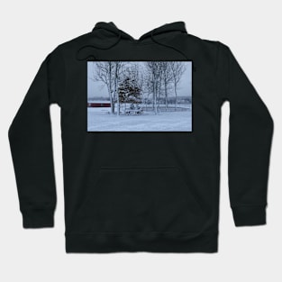 Winter landscape, snowy winter trees. Hoodie